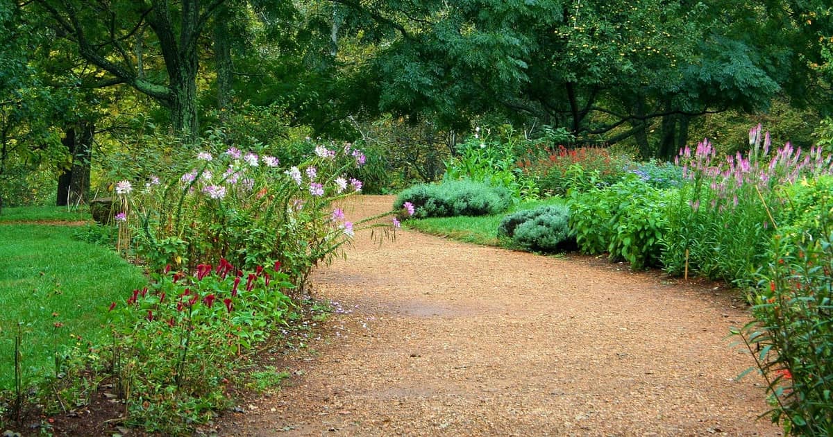 Pea Gravel Sizes, Uses and Depth for Patios, Paths and Play Areas